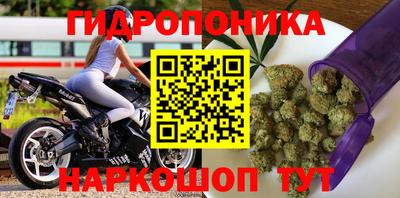 дживик Железногорск