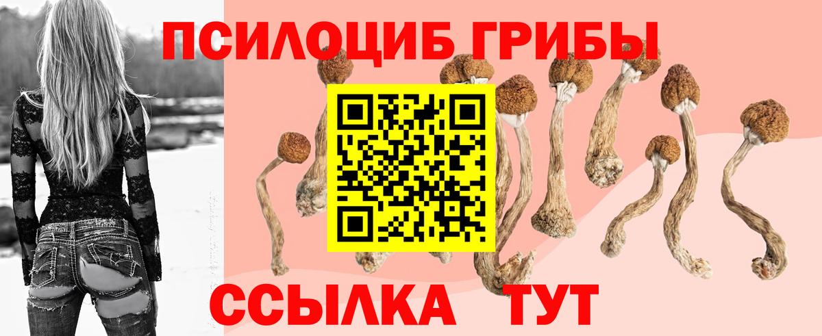 Архангельск  Галлюциногенные грибы Magic Shrooms  Вход с VPN  Галлюциногенные грибы Psilocybine cubensis 