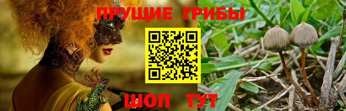 Галлюциногенные грибы MAGIC MUSHROOMS Архангельск