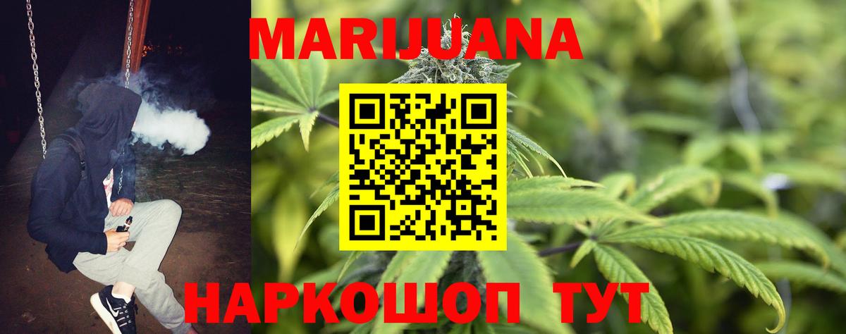 Конопля планчик Архангельск